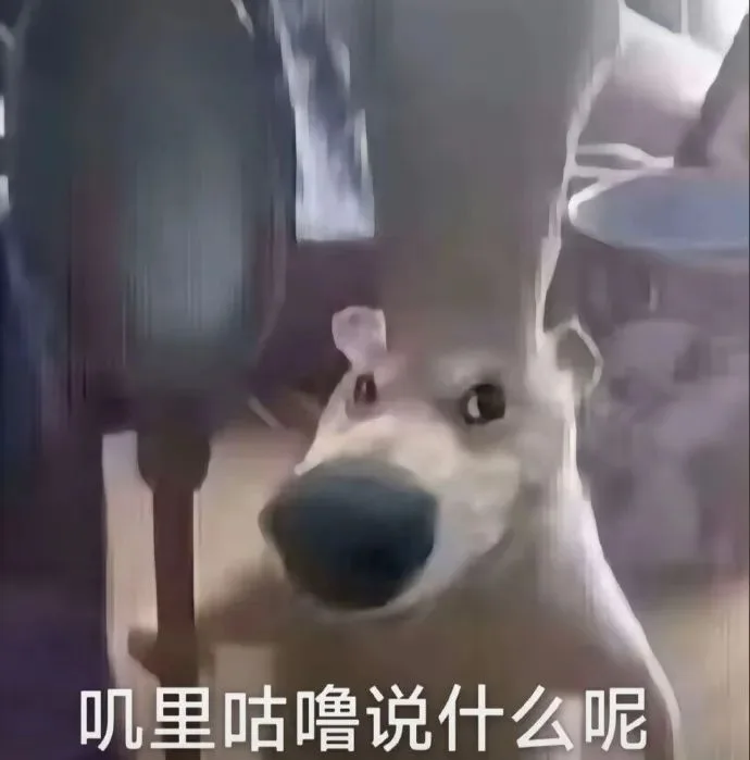 叽里咕噜说什么呢